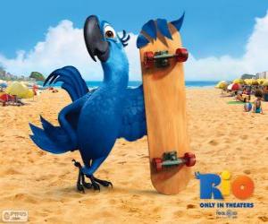 Puzzle Blu είναι ένα macaw διασκέδαση και ο κύριος πρωταγωνιστής της ταινίας του Ρίο
